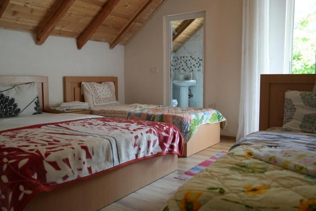 Guesthouse Skender Selimaj ヴァルボナ エクステリア 写真